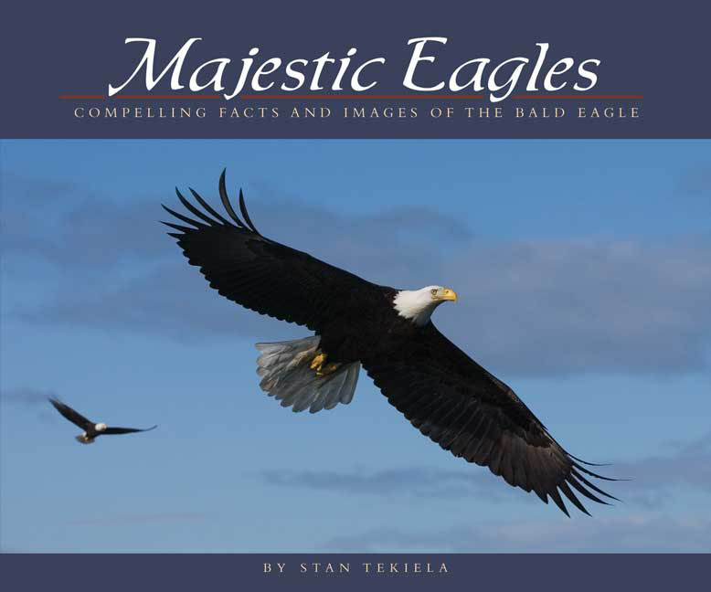 Majestic Eagles